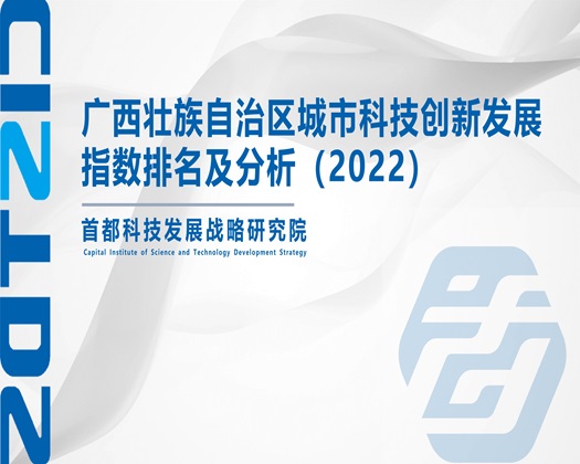 美女被操的啊啊啊叫在线观看【成果发布】广西壮族自治区城市科技创新发展指数排名及分析（2022）